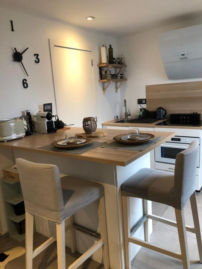 שאודפונטיין Studio Tout Neuf. Court Sejour, Loisirs, Professionnel מראה חיצוני תמונה